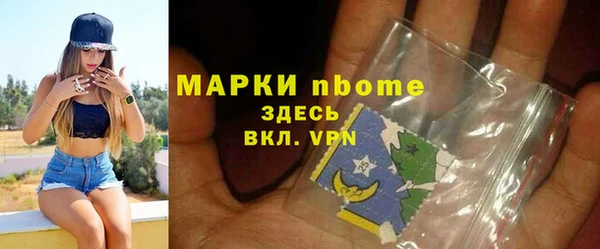 амф Бородино