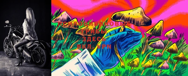 гидропоника Сосновый Бор