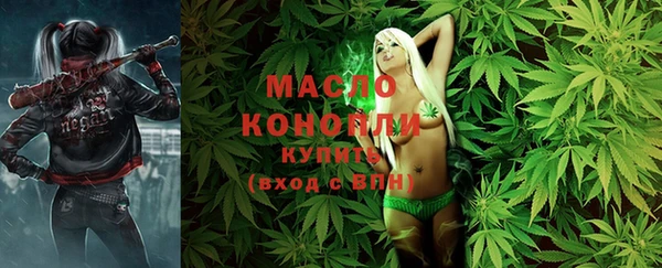 амф Бородино