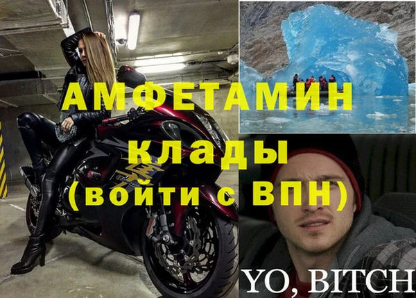 амф Бородино