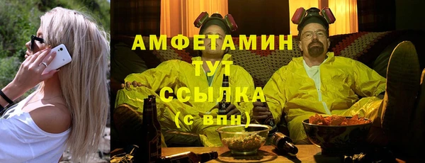 амф Бородино