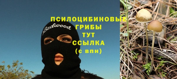 кокс Верея