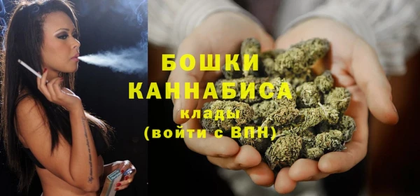 амф Бородино